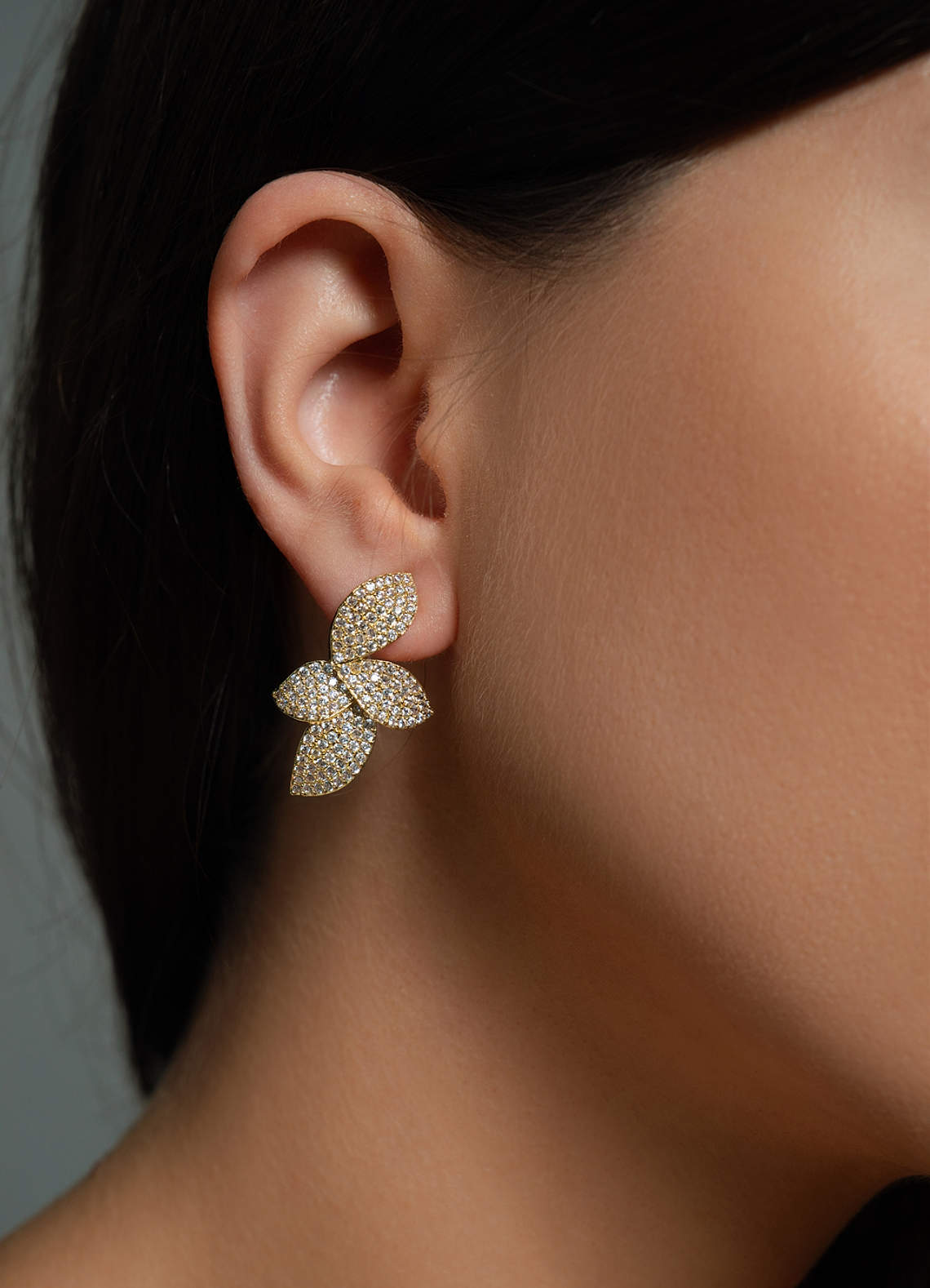 front Shiny Diamond Leaf Earrings